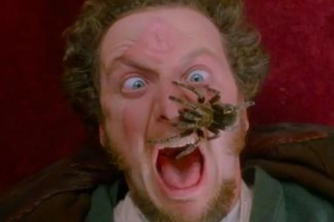‘Home Alone’ Actor Daniel Stern Just Recreated His Iconic Tarantula Scene! Daniel Stern, Home Alone, 20th Century Fox, 072816