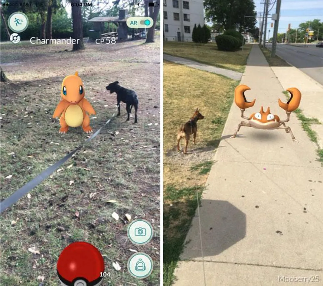 pokemon-go-dog-walking-animal-shelter-muncie-9