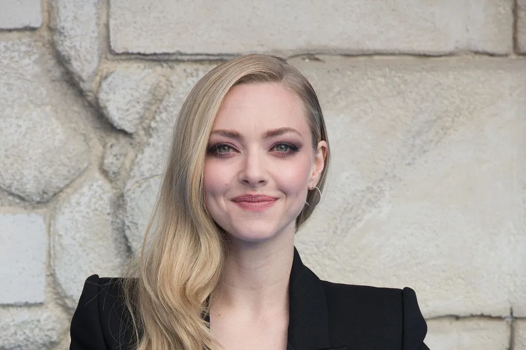 Resultado de imagen para amanda seyfried