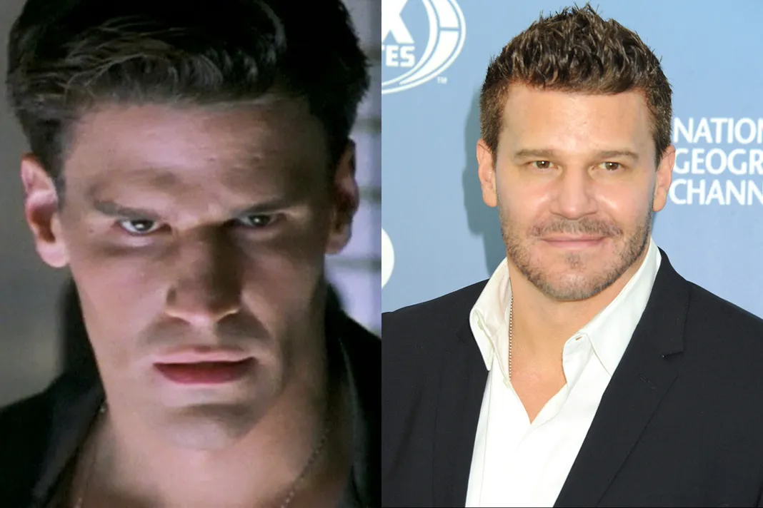 Buffy slayer vampire boreanaz david angel stars wb splash where The 'Buffy the Vampire Slayer' Stars: Where Are They Now?