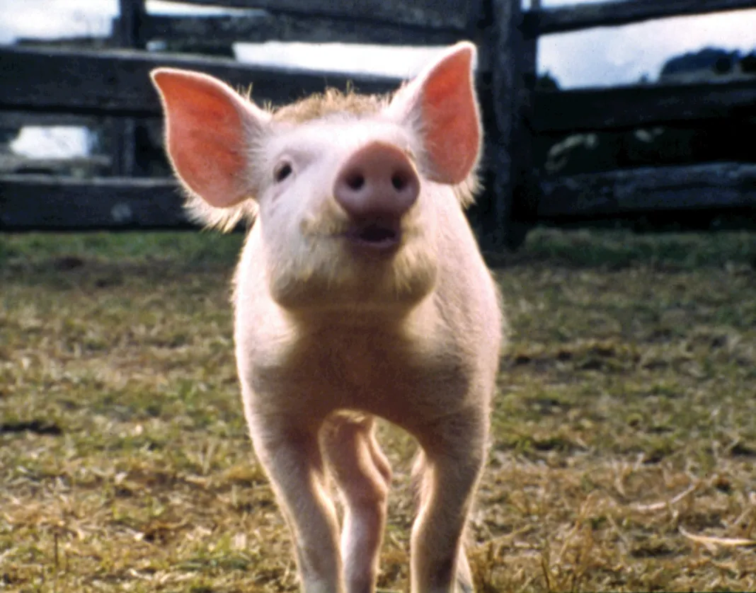 dating alone ep 3 eng sub