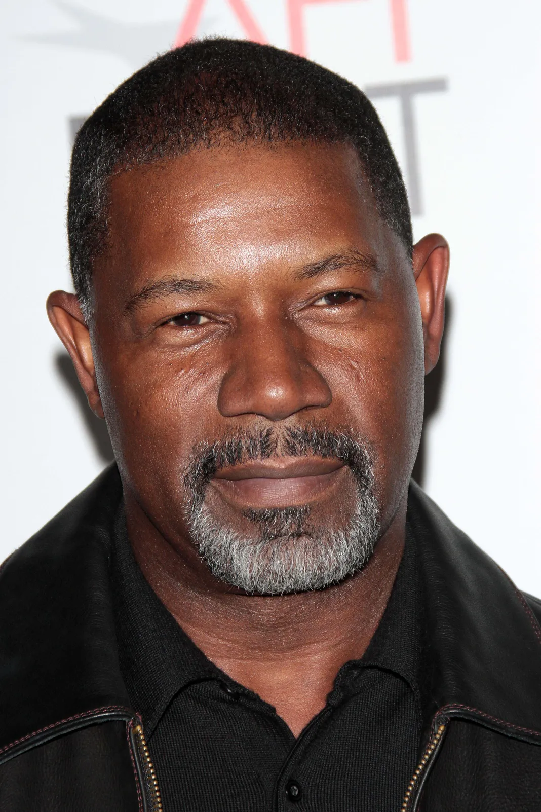 dennis haysbert pics dennis haysbert movies xperehod dennis haysbert pics dennis haysbert movies xperehod