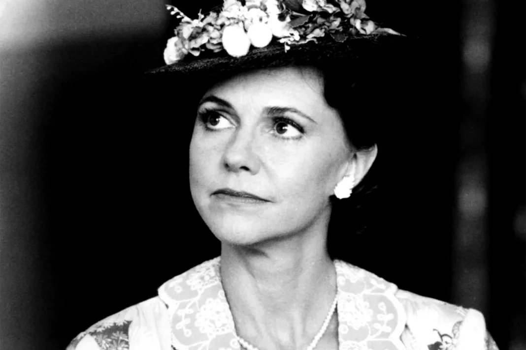 Viveka Davis Viveka Davis