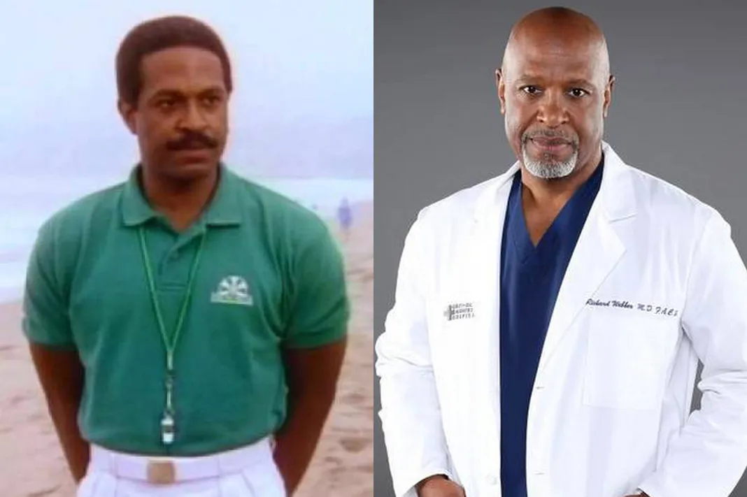 grey s anatomy chief actor see the cast of grey s anatomy before they were famous grey s anatomy chief actor see the cast of grey s anatomy before they were famous