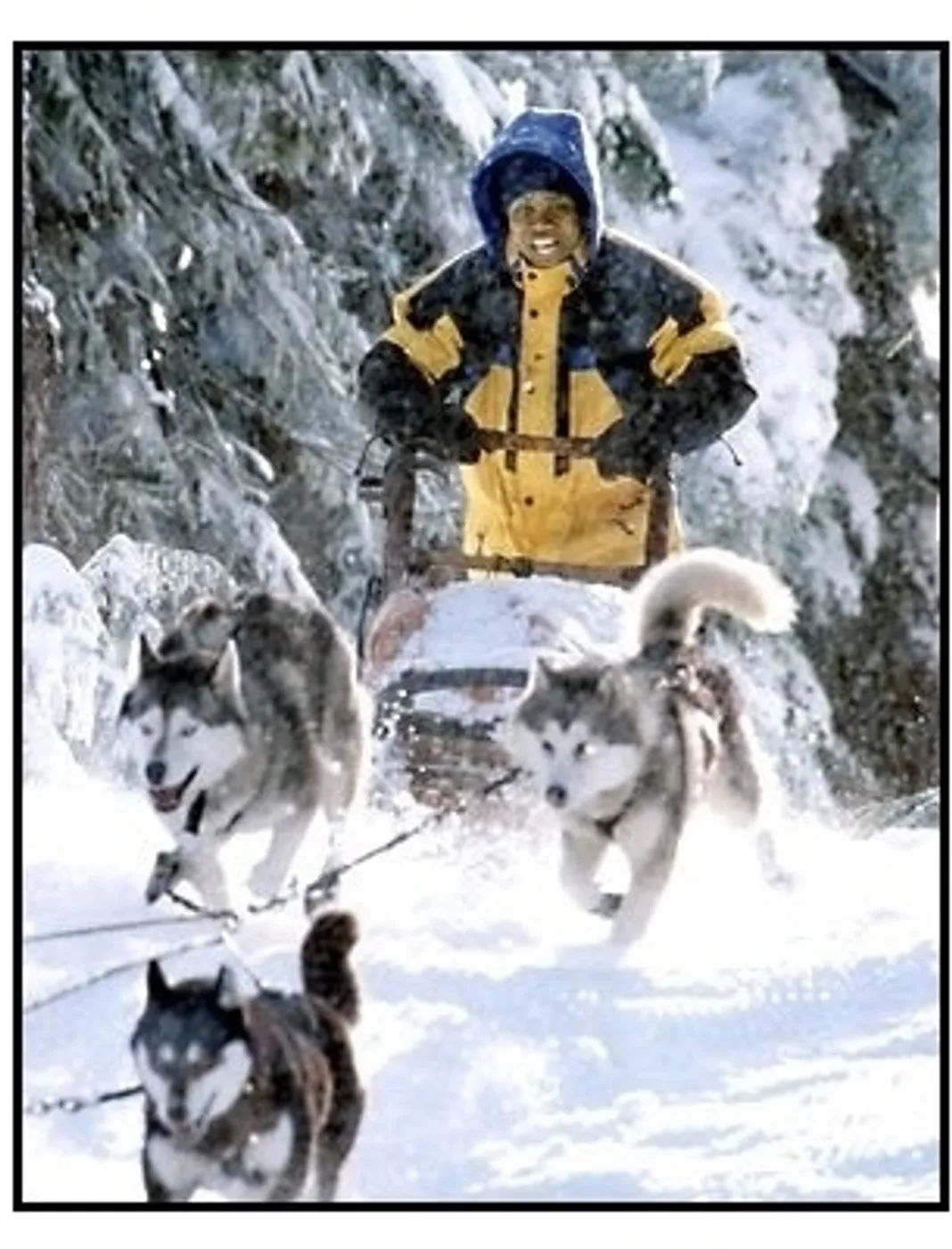 cuba gooding jr sled dog movie snow dogs cuba gooding jr sled dog movie snow dogs