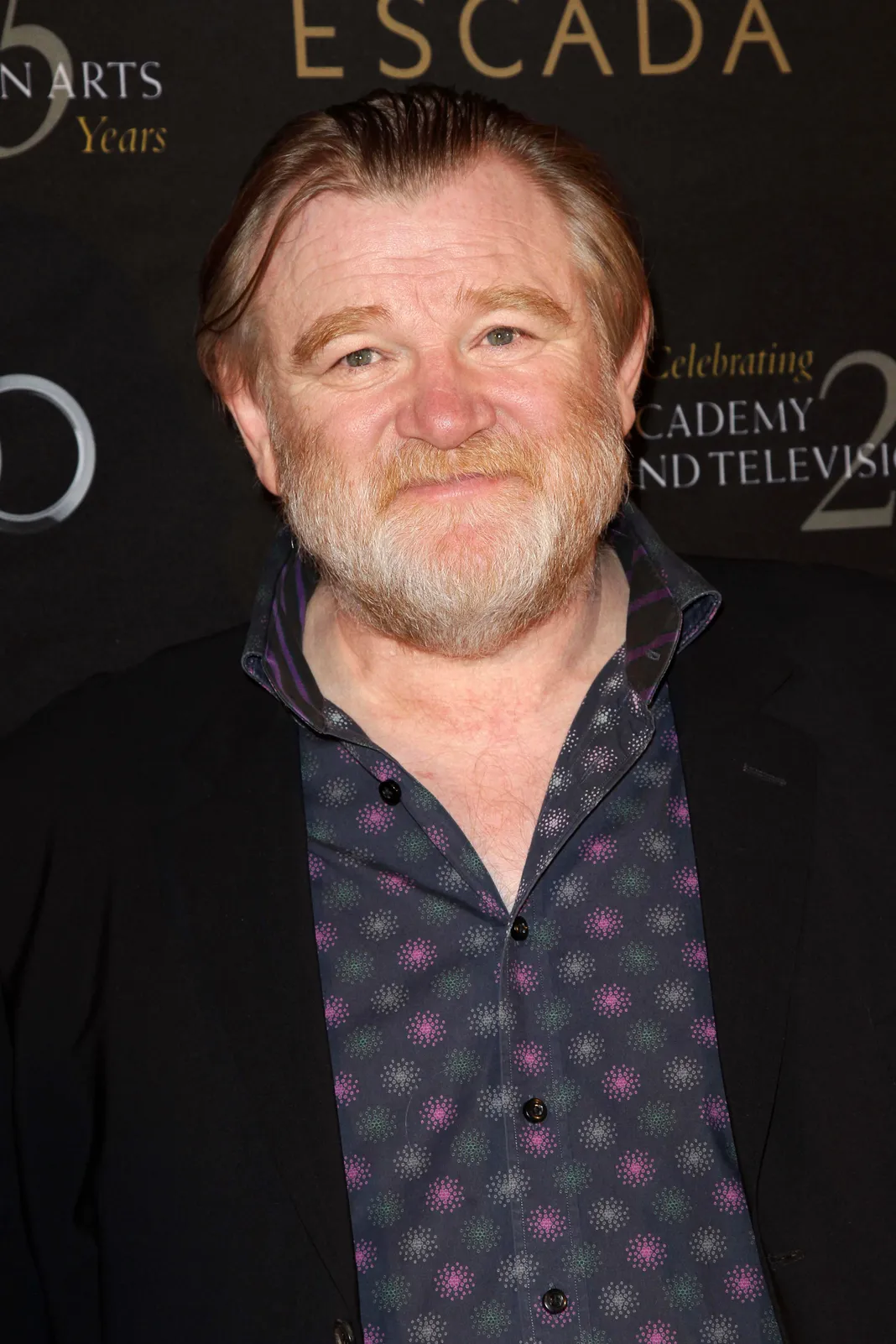 brendan gleeson brendan gleeson