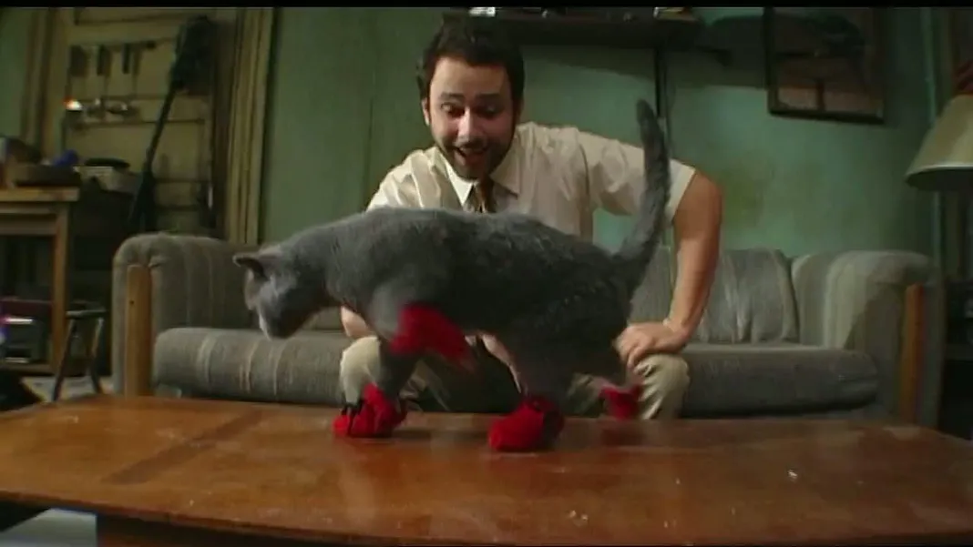 5 It S Always Sunny In Philadelphia Inventions That Should Never Exist But Probably Will