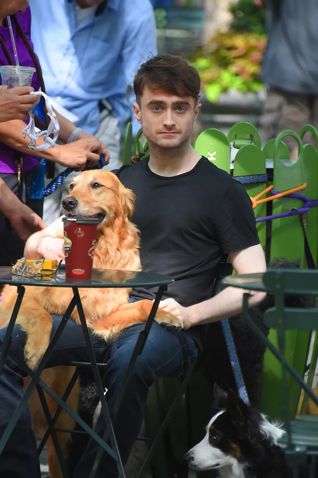 Daniel Radcliffe Turns Heads as New York Dogwalker