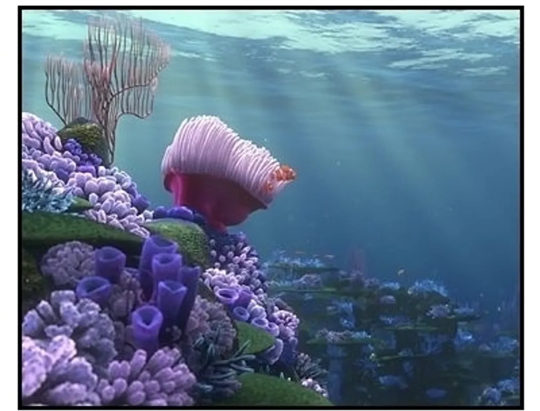 Finding Nemo